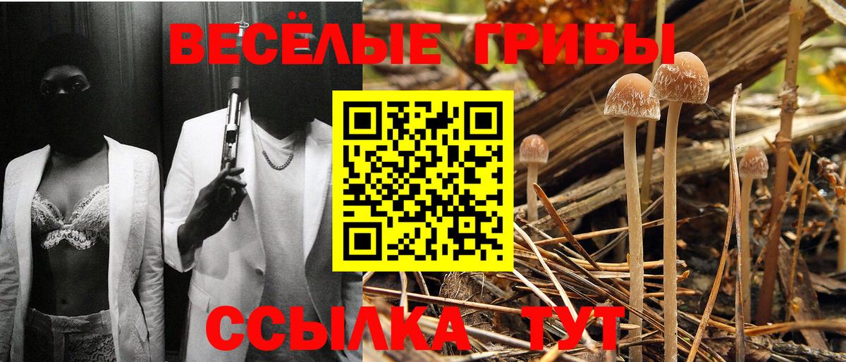 ГАШИШ Лесной