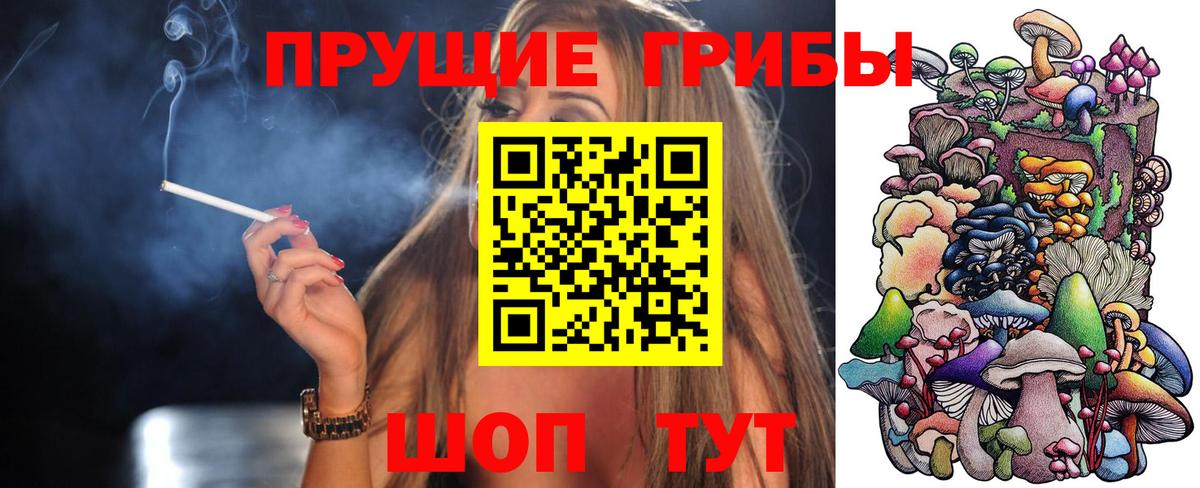 Лесной  Псилоцибиновые грибы MAGIC MUSHROOMS  Вход с VPN 