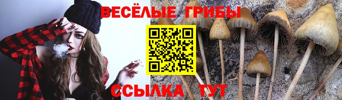 Галлюциногенные грибы Psilocybe Лесной